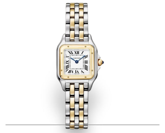 Cartier Panthère Mini – Acier & Or Jaune